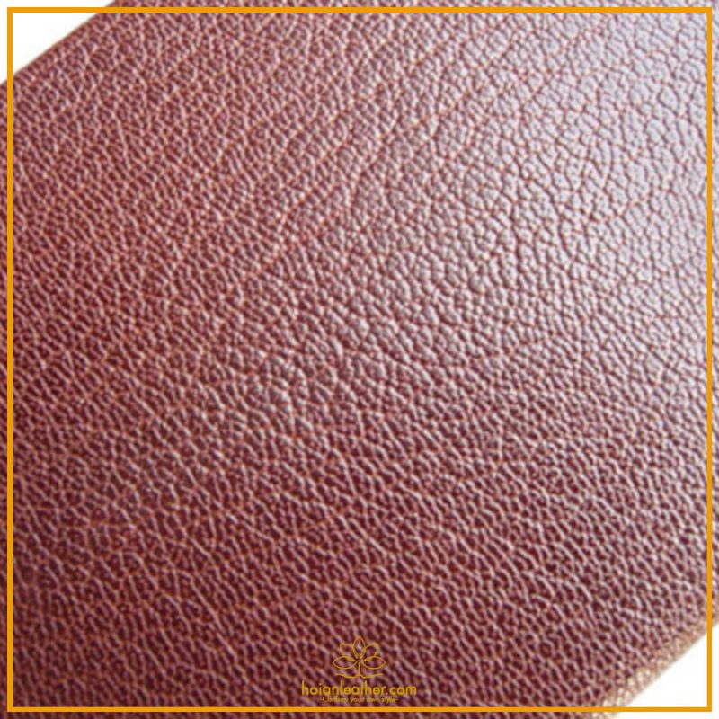 tổng quan da dê